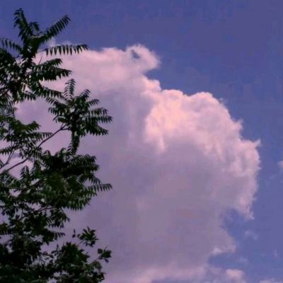 圣光天空城官方版下载